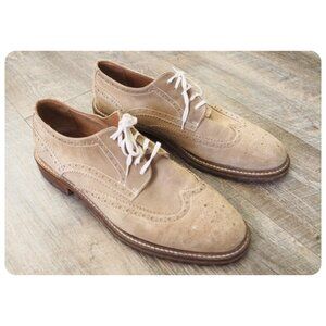 Johnston & Murphy Suede Wingtip Lace-up Derby sz 11